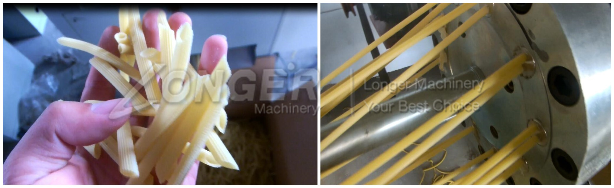 Macaroni Extruder machine made in china wendy@machinehall.com